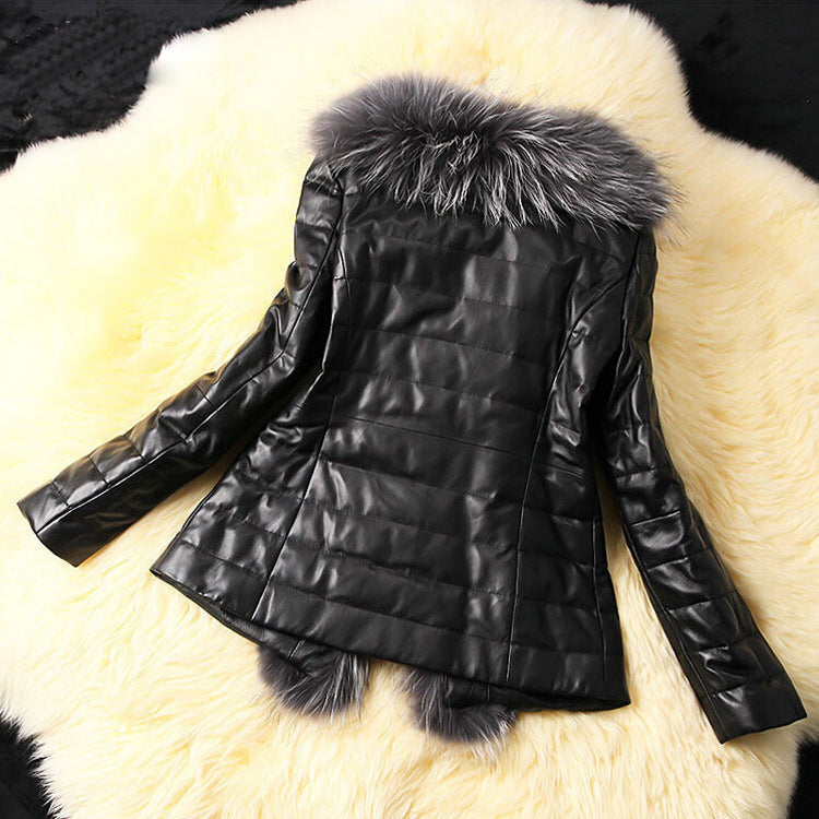 2e5801027155f3cf4aa4bce15c433abc